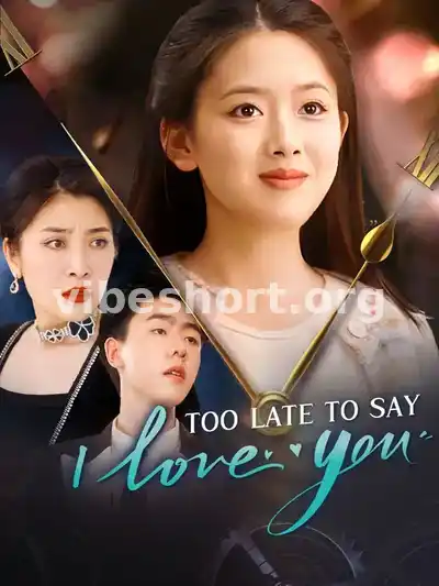 Too Late to Say I Love You
