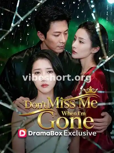 Don't Miss Me When I'm Gone