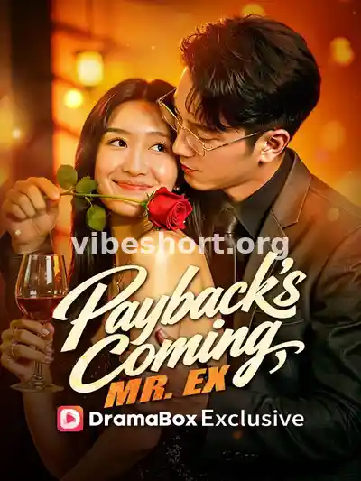 Payback's Coming, Mr. Ex (DUBBED)