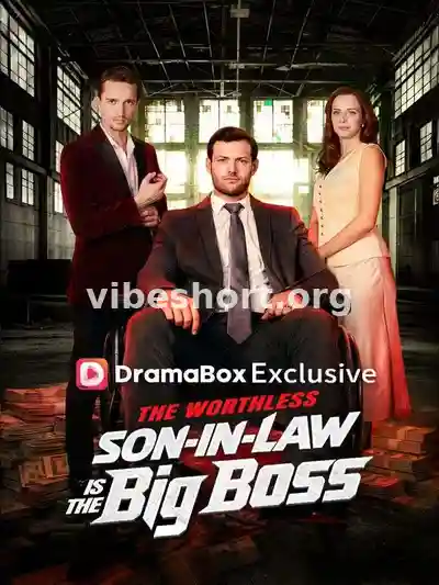 The Worthless Son-in-Law Is The Big Boss